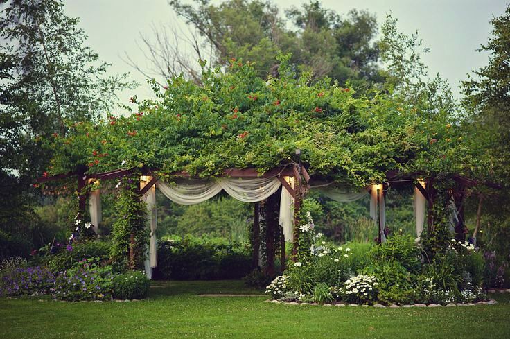 photo by Allison Wright Studios