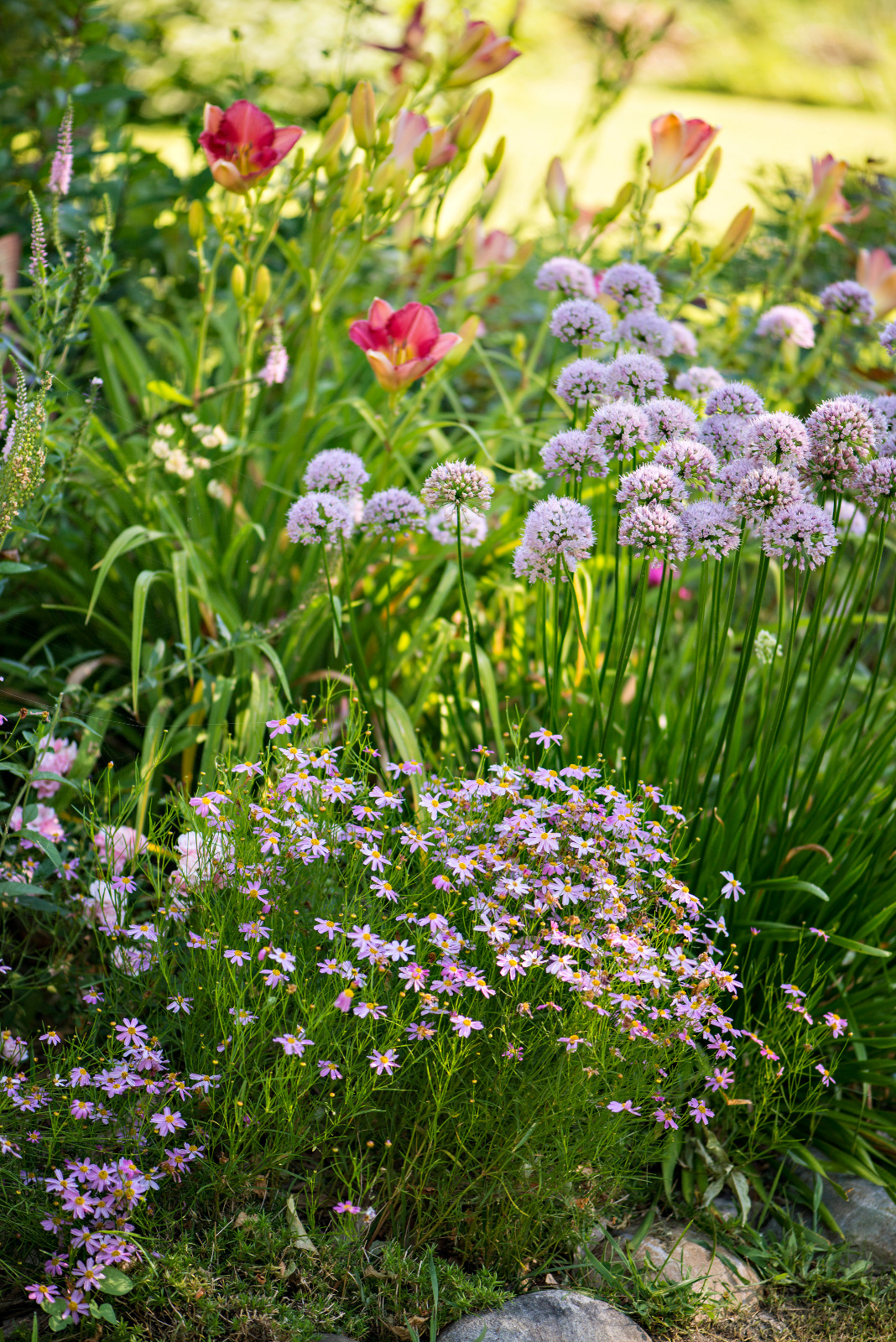 photo by DaveTree Photography