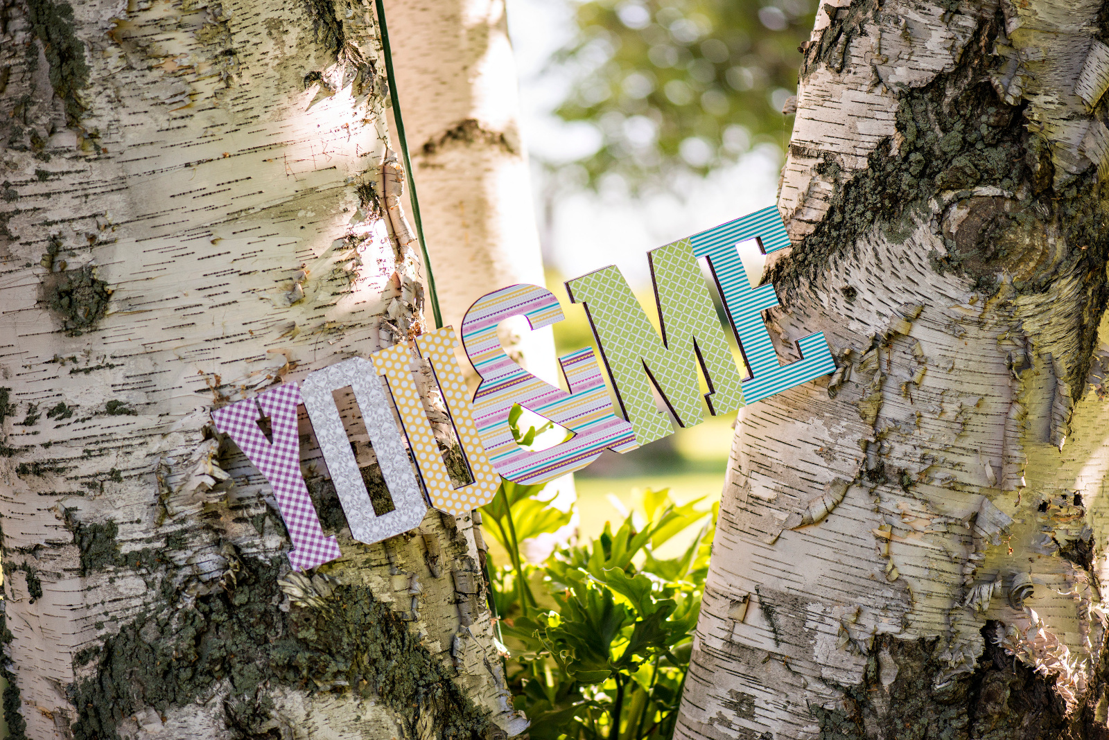 photo by DaveTree Photography