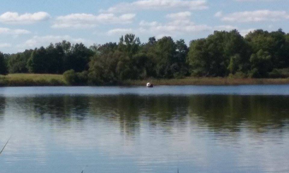 LINSY CAME IN A BOAT ACROSS THE LAKE (Venue photo)