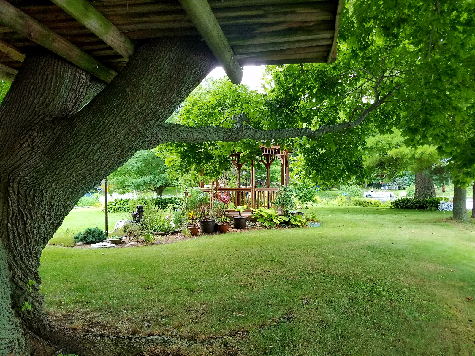 Distant view of Cedar Gazebo backside