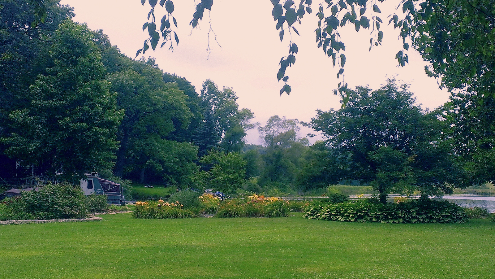 Daylilies in full bloom; flowerbed to the west side of the Island