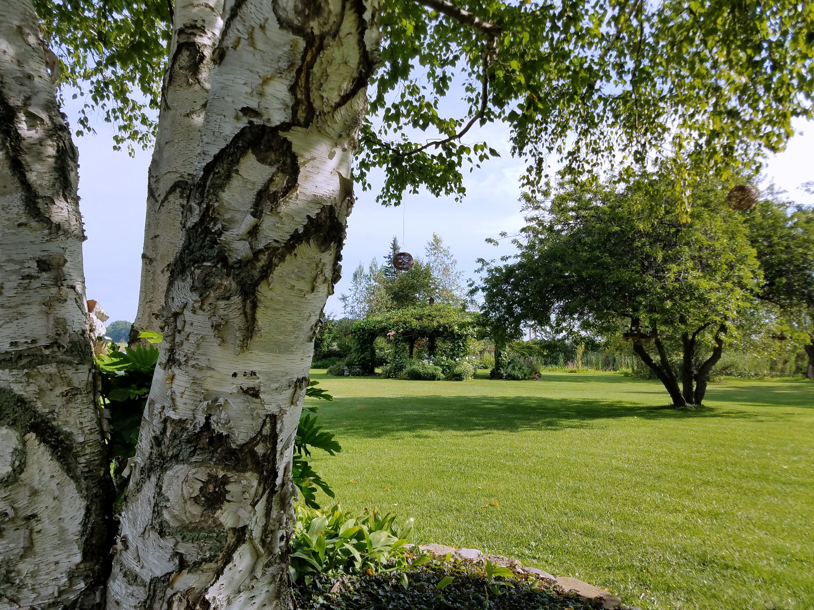 Distant Flowering Gazebo