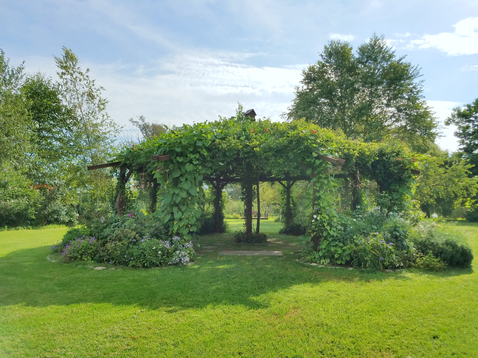 West side of the Flowering Gazebo