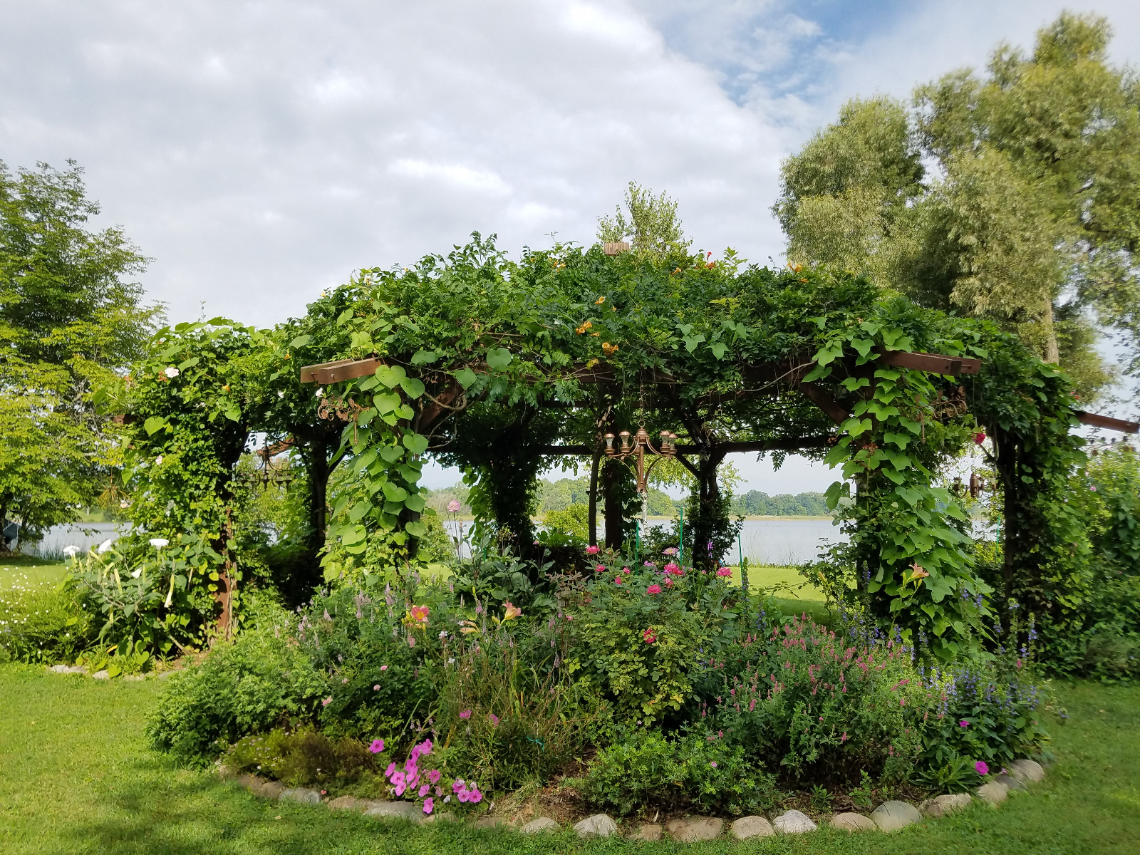 Morning Glory and Trumpet Vines in bloom on canopy; Moon Flower, Rose, Daylily, Petunia, Lobilia and Veronica blooming in flowerbeds