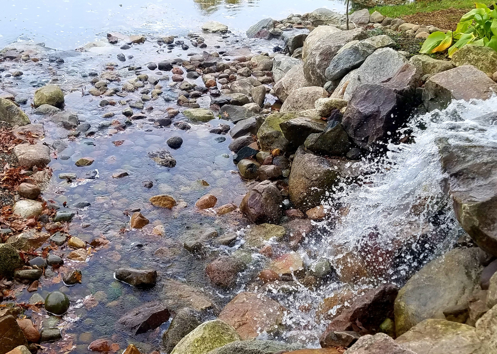 Above the long falls