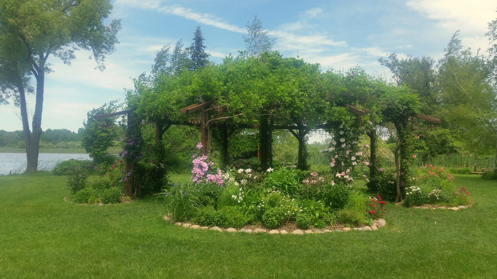 Clematis and Roses climb posts and others bloom with Sweet Williams in flowerbed