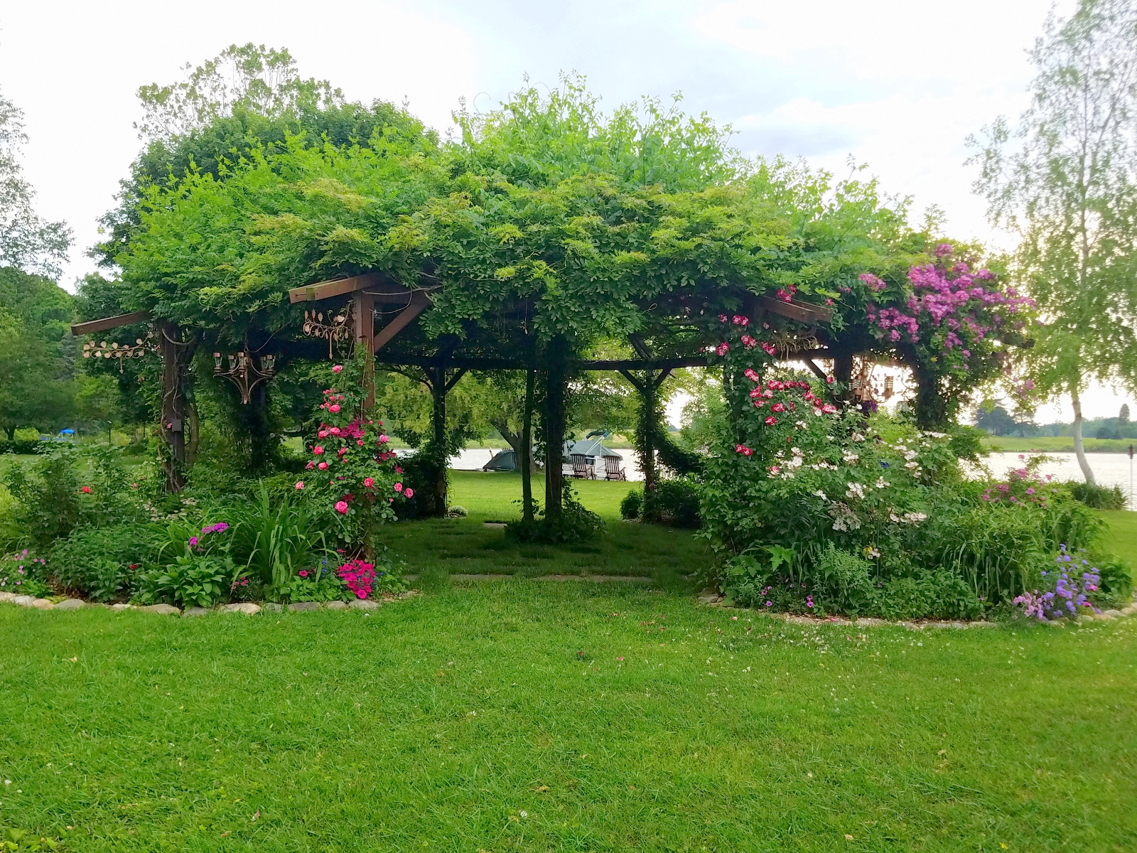 Climbing Roses and Clematis with Petunia, Scabiosa and Sweet William in flowerbeds