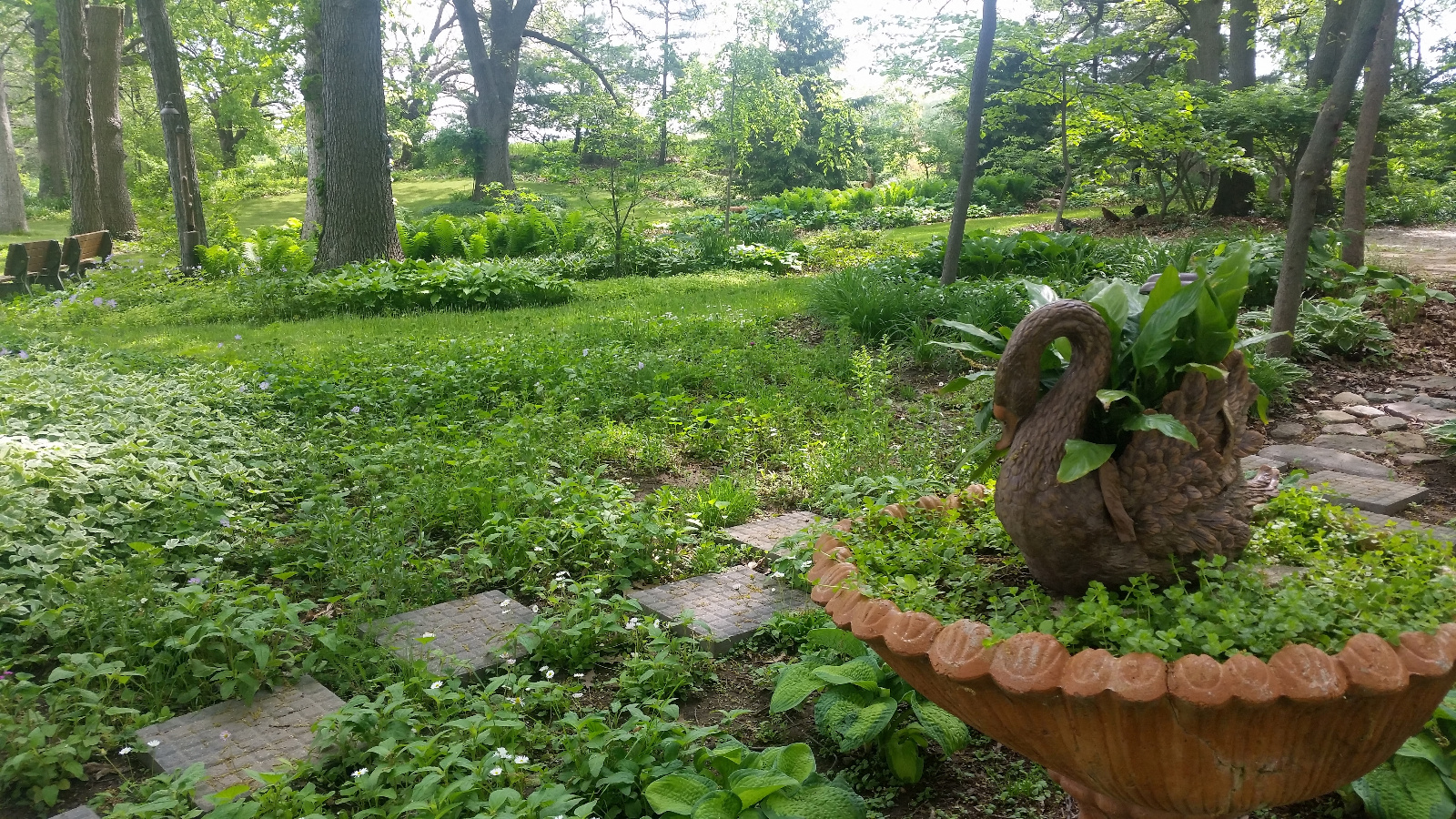 LOOK ACROSS THE FRONT YARD