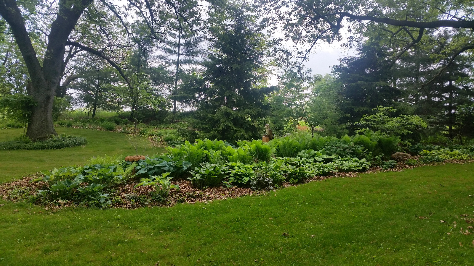 EARLY SPRING FLOWERBEDS