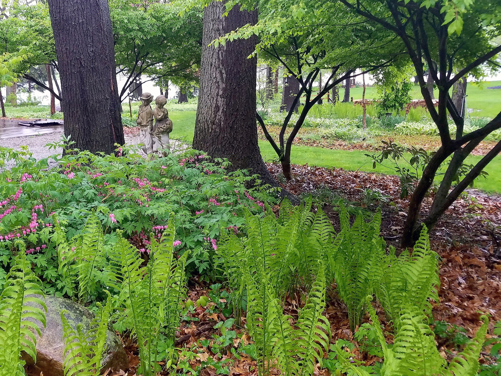 FRONT YARD FLOWERBED