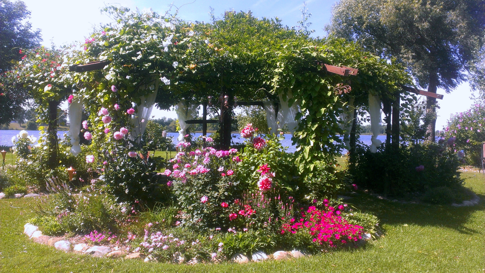 Beautiful fall color